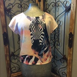 Colorful zebra t-shirt